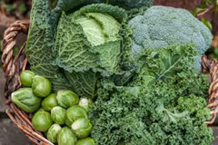 (Ảnh: Getty images)