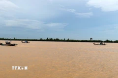 Tàu thuyền tại tỉnh Thanh Hóa đang về nơi trú bão. (Ảnh: Nguyễn Nam/TTXVN)