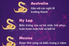 Hình tượng rắn trong văn hóa bốn phương