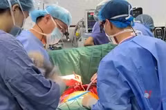 Những cuộc chiến sinh tử để hồi sinh sự sống