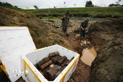 (Ảnh minh họa. Trọng Đạt/TTXVN)