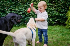 (Ảnh minh họa. Nguồn: Getty images)