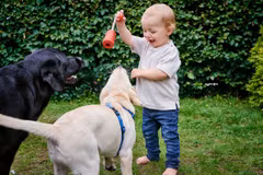 (Ảnh minh họa. Nguồn: Getty images)