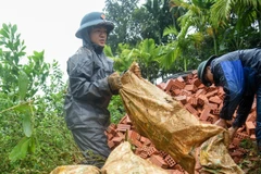 Cán bộ, chiến Ban Chỉ huy Phòng thủ Khu vực 5-Điện Bàn (Bộ Chỉ huy Quân sự thành phố Đà Nẵng) vận chuyển vật liệu xây dựng nhà cho bà con xã Trà Leng. (Ảnh: Quốc Dũng/TTXVN)