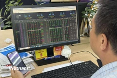 Ảnh minh họa. (Nguồn: Vietnam+)