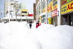 Tuyết rơi dày ở Aomori. (Ảnh: AFP/Yonhap)