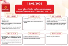 Mốc thời gian trước và sau khi diễn ra cuộc bầu cử đại biểu Quốc hội khóa XVI 