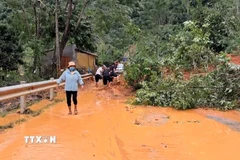 Bão số 10 làm tuyến đường độc đạo đi Cửa khẩu Quốc tế Nậm Cắn (Nghệ An) tê liệt vì sạt lở đất. (Ảnh: TTXVN phát)