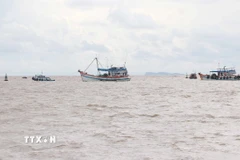 Công tác chống khai thác IUU là nhiệm vụ cấp bách, có ý nghĩa lâu dài đối với phát triển bền vững ngành thủy sản. (Ảnh: Huỳnh Anh/TTXVN)