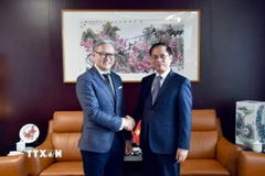 Phó Thủ tướng, Bộ trưởng Bộ ngoại giao Bùi Thanh Sơn (phải) gặp Bộ trưởng Ngoại giao Lào Thongsavanh Phomvihane. (Ảnh: TTXVN phát)