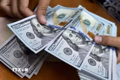 Với biên độ ±5%, tỷ giá trần là 26.367 VND/USD và tỷ giá sàn là 23.855 VND/USD. (Ảnh: AFP/TTXVN)