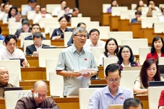 Đại biểu Quốc hội TP. Hà Nội Nguyễn Anh Trí phát biểu. (Ảnh: Doãn Tấn/TTXVN)