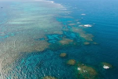 Rạn san hô Great Barrier tại Queensland, Australia. (Ảnh: THX/TTXVN)