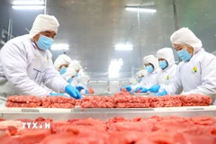 Thịt bò của Công ty Trách nhiệm hữu hạn Pacow International được đánh giá cao tại thị trường Halal nhờ đáp ứng nghiêm ngặt tiêu chuẩn về vệ sinh, quy trình giết mổ và sự minh bạch trong chuỗi cung ứng. (Ảnh: Minh Phú/TTXVN)