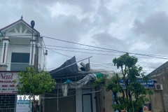 (Ảnh minh họa. Hoàng Ngà/TTXVN)