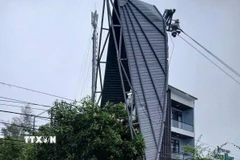 (Ảnh minh họa. Mai Trang/TTXVN)