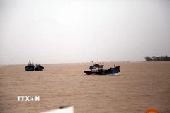 Huy động tàu cá tổ chức tìm kiếm các nạn nhân mất tích trên hai tàu cá bị chìm. (Ảnh: Tá Chuyên/TTXVN)