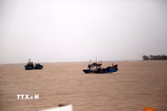 Huy động tàu cá tổ chức tìm kiếm các nạn nhân mất tích trên hai tàu cá bị chìm. (Ảnh: Tá Chuyên/TTXVN)