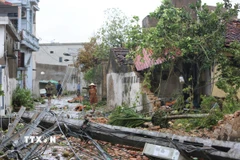 Nhà cửa của người dân tại xã Hoằng Giang (Thanh Hóa) bị gió bão đánh sập và tốc mái ngổn ngang. (Ảnh: Việt Hoàng/TTXVN)