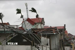 1-2 cơn bão trong tháng 10 có thể ảnh hưởng đến đất liền Việt Nam. (Ảnh: Việt Hoàng/TTXVN)