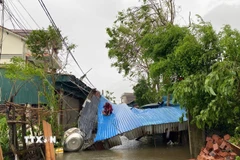 Mái tôn của nhiều hộ dân tại xã Nghi Xuân bị bão làm đổ sập. (Ảnh: Hữu Quyết/TTXVN)