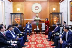 Ủy viên Bộ Chính trị, Bí thư Trung ương Đảng, Chủ tịch Ủy ban Trung ương MTTQ Việt Nam Bùi Thị Minh Hoài phát biểu. (Ảnh: Doãn Tấn/TTXVN)