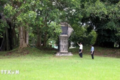 Cây đa Tân Trào, nơi Đại tướng Võ Nguyên Giáp đọc bản Quân lệnh số 1, làm lễ xuất quân tiến về giải phóng Thủ đô Hà Nội. (Ảnh: Quang Cường/TTXVN)