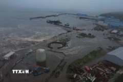 Sóng thần sau động đất gây ngập lụt tại Nga ngày 30/7/2025. (Ảnh: AA/TTXVN)