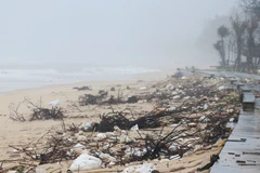 Nhiều loại rác thải dạt vào bãi tắm Trung Giang, xã Bến Hải (Quảng Trị) sau mưa bão. (Ảnh: Tường Vi/TTXVN)