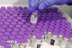 Vaccine ngừa COVID-19 của Pfizer/BioNTech. (Ảnh: AFP/TTXVN)