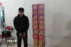 Đối tượng Hà Văn Giáp cùng số pháo hoa tang vật. (Ảnh: TTXVN phát)