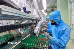 Lắp ráp các sản phẩm điện tử tại Nhà máy Trung Nam EMS, Khu Công nghệ cao Đà Nẵng. (Ảnh: Mỹ Hà/TTXVN)