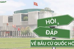 (Ảnh: Vietnam+)