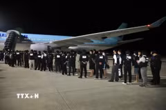 Các công dân Hàn Quốc liên quan hoạt động lừa đảo sử dụng công nghệ được bàn giao tại sân bay quốc tế ở thủ đô Phnom Penh, Vương quốc Campuchia, tối 17/10/2025. (Ảnh: AKP/TTXVN phát)