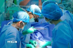 Êkíp ghép tạng Bệnh viện Đại học Y dược Thành phố Hồ Chí Minh tiến hành ghép tim cho bệnh nhi. (Ảnh: TTXVN phát)
