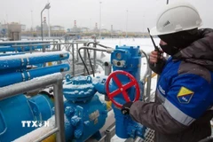 Trạm nén khí đốt Slavyanskaya trong hệ thống đường ống dẫn khí đốt Dòng chảy phương Bắc 2 ở Ust-Luga (Nga). (Ảnh: Getty Images/TTXVN)