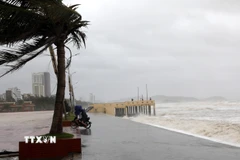 Từ chiều 28/9, gió đã mạnh lên kèm mưa tại nhiều vùng ở Nghệ An. (Ảnh: Văn Tý/TTXVN)