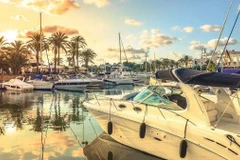 (Ảnh minh họa. Nguồn: Shutterstock)