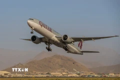 Máy bay của Hãng hàng không Qatar Airways. (Ảnh: AFP/TTXVN)