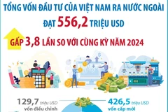 Đầu tư của Việt Nam ra nước ngoài và đầu tư nước ngoài vào Việt Nam 8 tháng qua