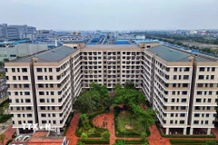 (Ảnh: Tuấn Anh/TTXVN)