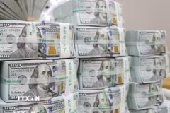 Đồng USD. (Ảnh: TTXVN)