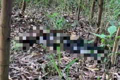 Quảng Ninh: Phát hiện thi thể một phụ nữ đang phân hủy trên đỉnh đồi