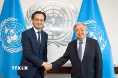 Đại sứ Đỗ Hùng Việt hội kiến Tổng thư ký Liên hợp quốc António Guterres. (Ảnh: Thanh Tuấn/TTXVN)