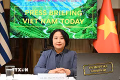 Đại sứ Việt Nam tại Hy Lạp Phạm Thị Thu Hương phát biểu tại cuộc gặp gỡ báo chí. (Ảnh do Đại sứ quán Việt Nam tại Hy Lạp cung cấp)