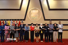 Việt Nam đồng chủ trì cuộc họp Ủy ban Hợp tác chung ASEAN-New Zealand