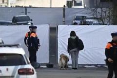 (Ảnh minh họa. Nguồn: BELGA)