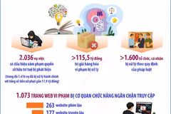 Đấu tranh chống xâm phạm quyền sở hữu trí tuệ đạt kết quả tích cực 