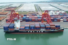 Tàu container tại Cảng quốc tế Chu Lai. (Ảnh: Quốc Khánh/TTXVN)