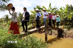 Du lịch sinh thái mang đặc trưng miệt vườn ở cù lao Bảo, tỉnh Bến Tre. (Ảnh: Hồng Đạt/TTXVN)
